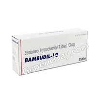 Bambudil