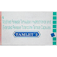 TAMLET 2