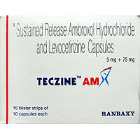 TECZINE AM