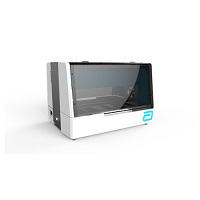 VP 2000