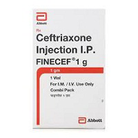 Finecef