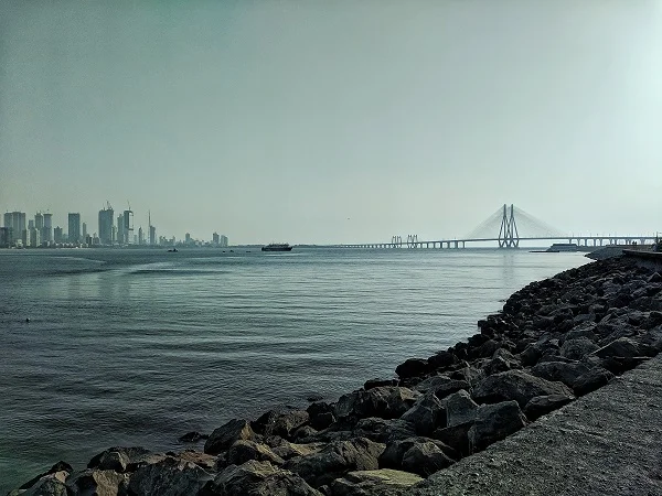 Market trades flat, Saatvik Green secures two orders worth Rs 708 crore