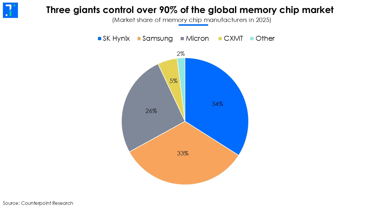 Memory chips market share