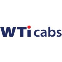 Wise Travel India Ltd. logo