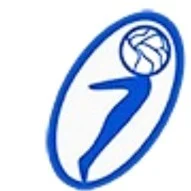 Phoenix Overseas Ltd. logo