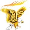 NSB BPO Solutions Ltd. logo