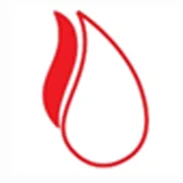 Solvex Edibles Ltd. logo