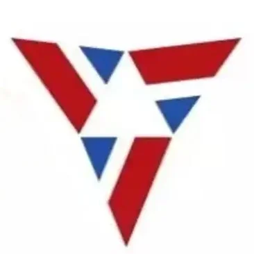 Vidya Wires Ltd. logo